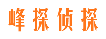 青龙侦探公司